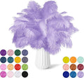 NEWONG 30pcs Light Purple Ostrich Feathers Natural Bulk 9-12in（23-30cm） Vase by NEWONG