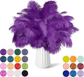 NEWONG 30pcs Purple Ostrich Feathers Natural Bulk 11-14inch Vase Craft Wedding by NEWONG