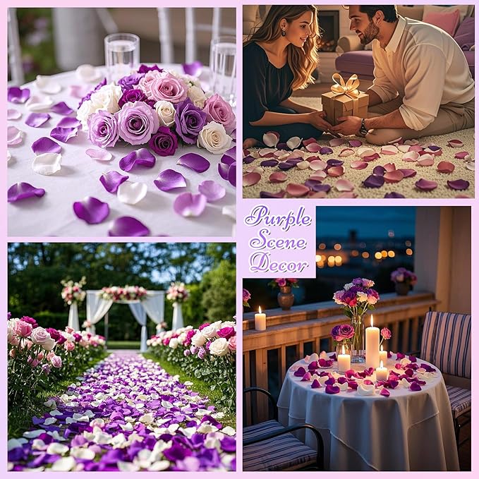 180 PCS Real Purple White Rose Petals - Image 5
