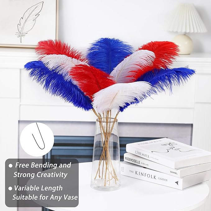 Holmgren Red White and Blue Ostrich Feathers - Image 4