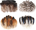 MAOFENG 120pcs 7 Styles Natural Bulk Feathers Assorted Mixed Feathers by MAOFENGFEATHER