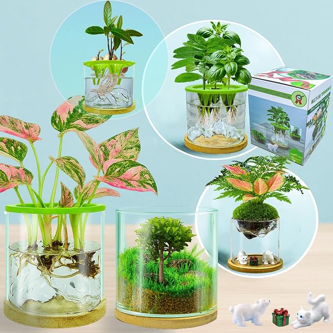4 in 1 Plant Propagation Station Hydroponic Vase Planter Pot, Indoor Glass by Azoiito