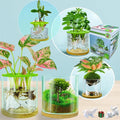 4 in 1 Plant Propagation Station Hydroponic Vase Planter Pot, Indoor Glass by Azoiito