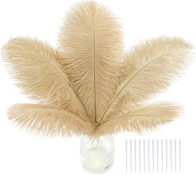 SOGUGOM Champagne Craft Ostrich Feathers by SOGUGOM