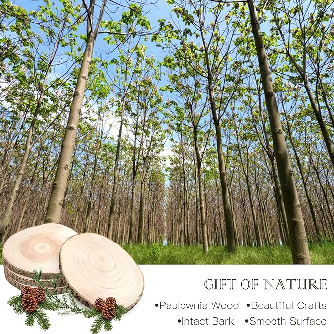 ZOCONE 10 Pcs Large Wood Slices 11-13 Inches Unfinished Rounds, Natural - Image 7