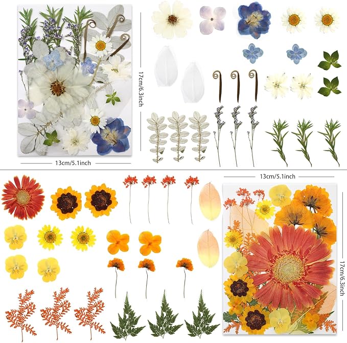 100 Pcs Large Dried Pressed Flowers - Image 3