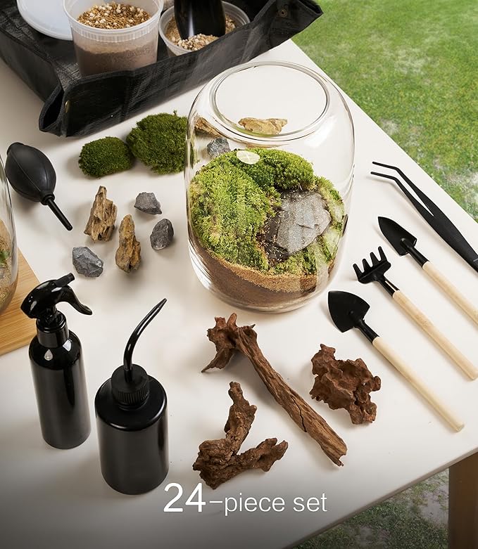 Terrarium Kit with Grow Light, Succulent Plants, Mini Gardening Set - Image 2