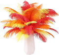 THARAHT Red Orange Yellow Ostrich Feathers 12pcs Natural Bulk 8-10Inch 20cm-25cm by THARAHT