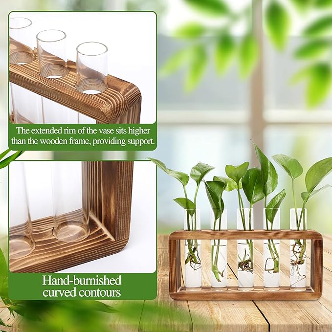 Glass Plant Propagation Station - Image 4