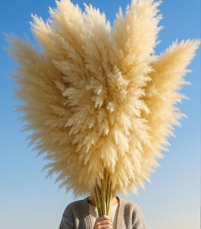 10 PCS 40" Tall Pampas Grass Stems in Natural Beige, Add a Boho Touch to Your - Image 3