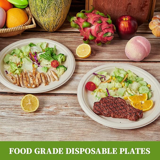 ECOLipak 100% Compostable 10 Inch Paper Plates, 125 Pack Heavy Duty Disposable - Image 5