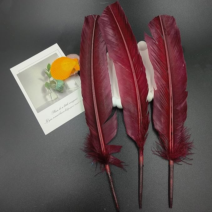 Burgundy Turkey Feathers, Turkish Feather - Image 7