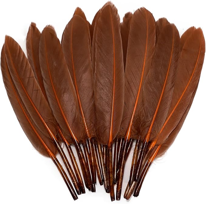 FeelfunFeather 120pcs Coffee Brown Goose Cochettes Feather Natural Bulk 4-6 by FeelFunFeather