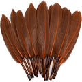 FeelfunFeather 120pcs Coffee Brown Goose Cochettes Feather Natural Bulk 4-6 by FeelFunFeather