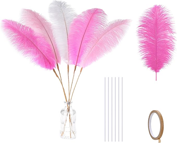 Holmgren Pink White and Light Pink Ostrich Feathers by Holmgren