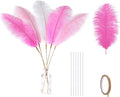 Holmgren Pink White and Light Pink Ostrich Feathers by Holmgren