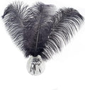 Happy Feather 16-18 inch Black Ostrich Feathers Craft by SupplyHighQualityFeathers