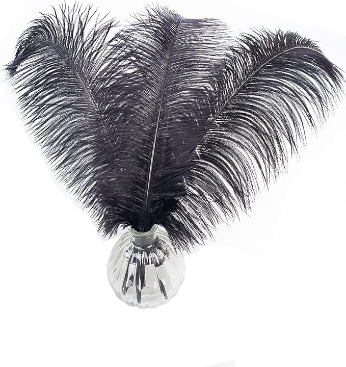Happy Feather 16-18 inch Black Ostrich Feathers Craft by SupplyHighQualityFeathers