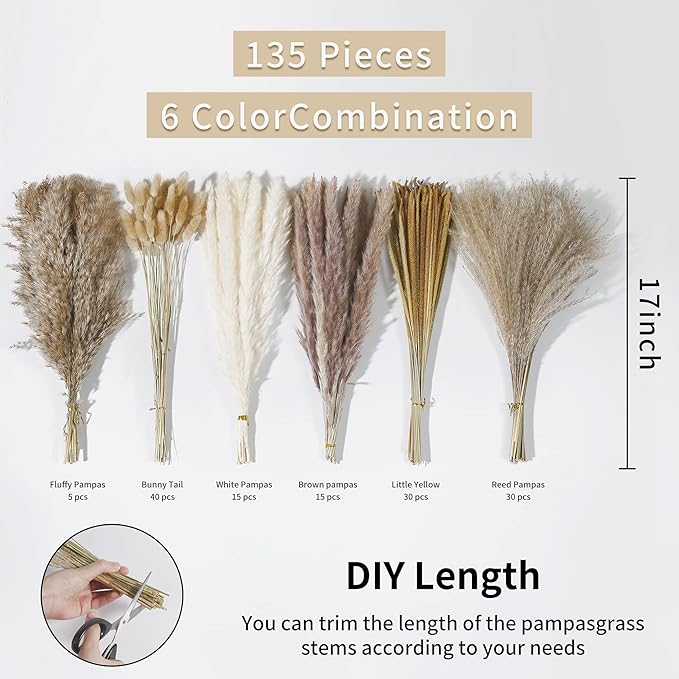 135Pcs Dried Pampas Grass Decor, Boho Home Decor, Mini Bunny Tails Dried Flowers - Image 4