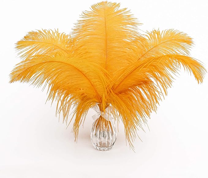 12pcs Natural Luxury Gold Ostrich Feathers 12-14inch by Ballinger
