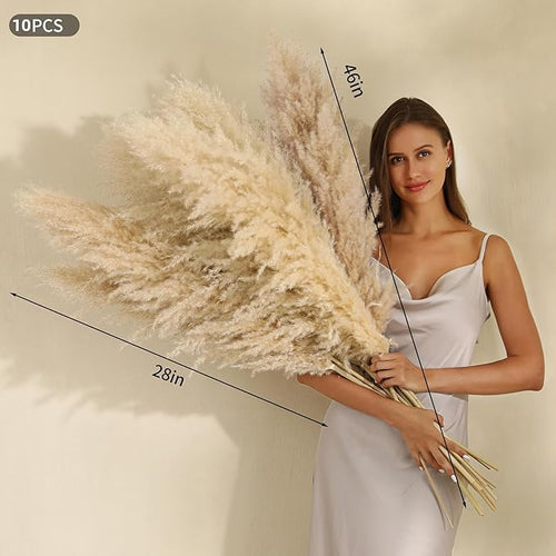 10 Stems 46 inch Tall Pampas Grass Decor - Image 2