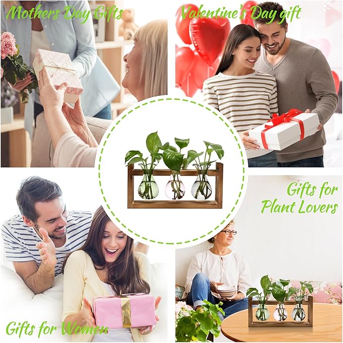 Plant Propagation Station Plant Terrarium Unique Birthday Gifts - Image 6