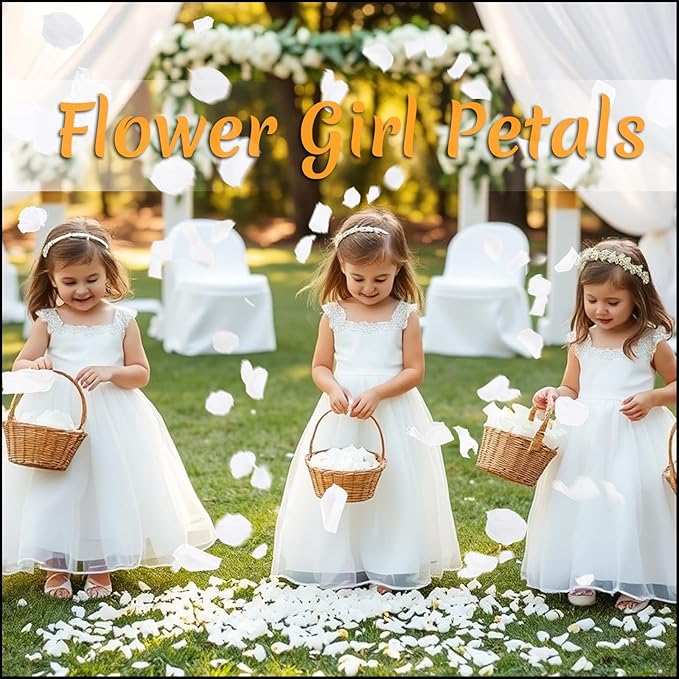 300 PCS Real White Rose Petals for Wedding, 2.82oz Fresh Rose Petals for Flower - Image 3