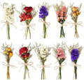 10/12/24 Pack Dried Flowers for Vase Various Mini Bouquet Dried Small by Unknown