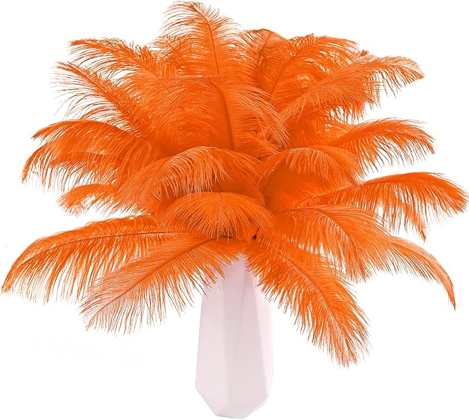 THARAHT Orange Ostrich Feathers 24pcs Natural Bulk 8-10Inch 20cm-25cm by THARAHT