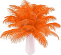 THARAHT Orange Ostrich Feathers 24pcs Natural Bulk 8-10Inch 20cm-25cm by THARAHT