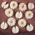 12PCS White Daisy Tissue Paper Pom Poms, Butterfly Birthday Decorations by BalunAdmhail