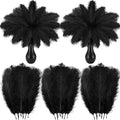 Crowye 100 Pcs Ostrich Feathers Bulk by Crowye