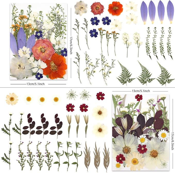 120P 4-Color Mixed Foliage Dried Flowers - Image 3