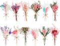 12/24 Pack Dried Flowers for Vase Various Mini Bouquet Dried Small Wildflowers by Unknown