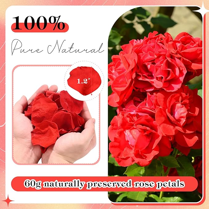 230 PCS Red Dired Rose Petals 2.1oz/60g Natural Real Rose Flower Petals - Image 2