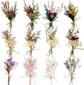 CROISSANT Mini Dried Flower Bouquet 12PCS, Mixed Natural Dried Flowers Bundles by CROISSANT