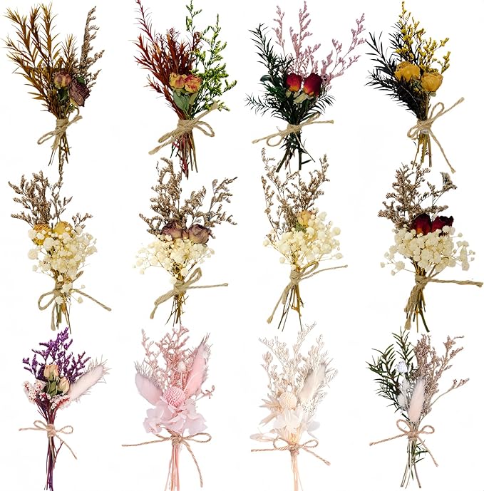 CROISSANT Mini Dried Flower Bouquet 12PCS, Mixed Natural Dried Flowers Bundles by CROISSANT
