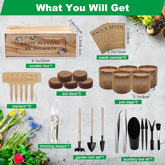 Bonsai Tree Starter Kit, Indoor Bonsai Tree Kit Meeting Planting and Caring - Image 6