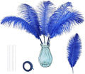 Bulk Royal Blue Ostrich Feathers by whitefeather