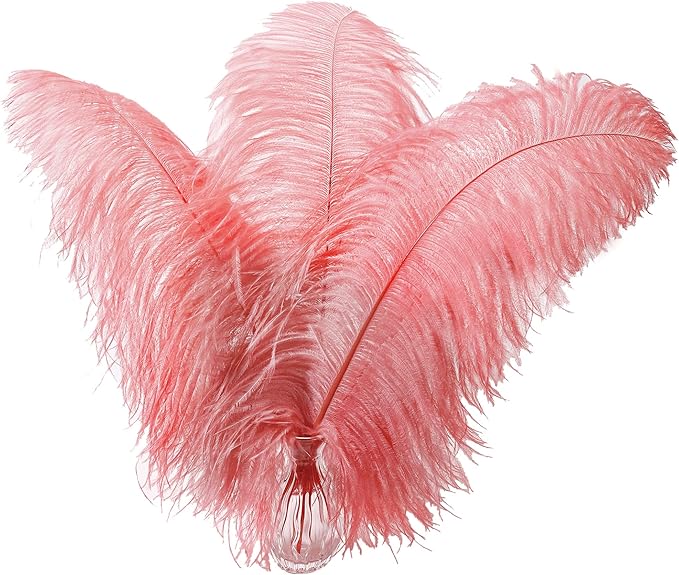 Larryhot Red Large Ostrich Feathers by Larryhot