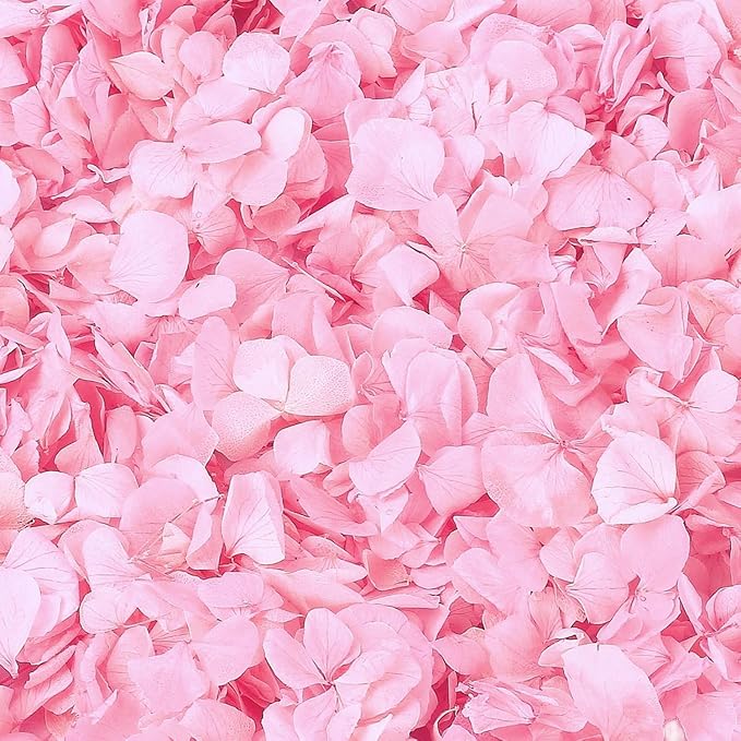 1500Pcs Real Hydrangea Pink Dried Flower Petals by Gifugi