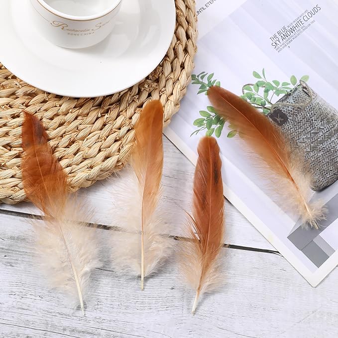 SOGUGOM Natural Rooster Tail Feathers - Image 6