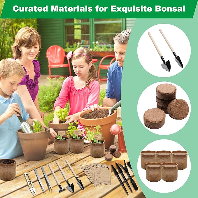 Bonsai Tree Starter Kit, Indoor Bonsai Tree Kit Meeting Planting and Caring - Image 5