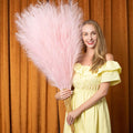 EVODIS Faux Pampas Grass 6 Stems, Artificial Pampas Grass by EVODIS