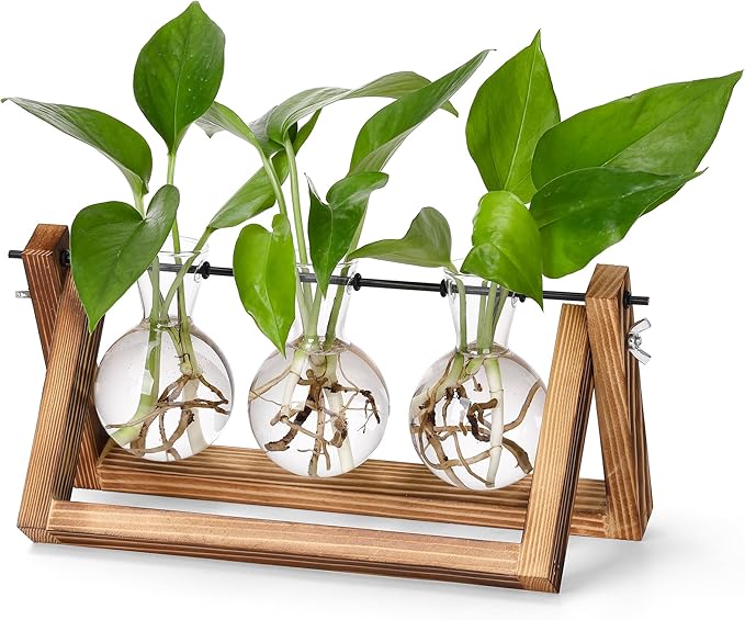 YIBOT Plants Propagation Stations, Desk Plant Terrarium by YIBOT