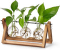 YIBOT Plants Propagation Stations, Desk Plant Terrarium by YIBOT