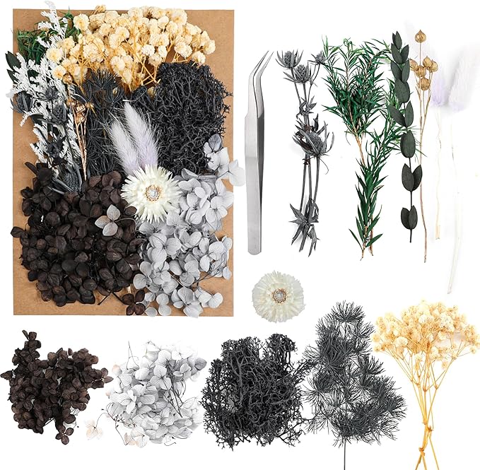 Dried Flowers, Dried Flowers Set by JOFONY