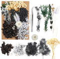 Dried Flowers, Dried Flowers Set by JOFONY