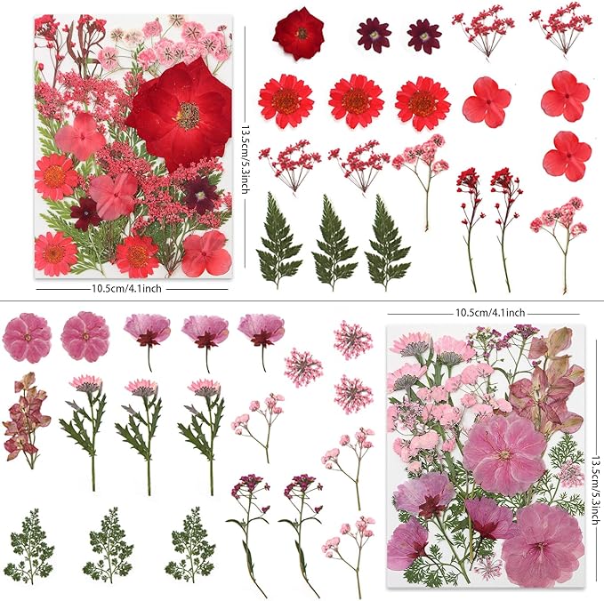 80 Pcs Dried Pressed Flowers for Crafts, Real Natural Dried Pressed Flowers in - Image 2