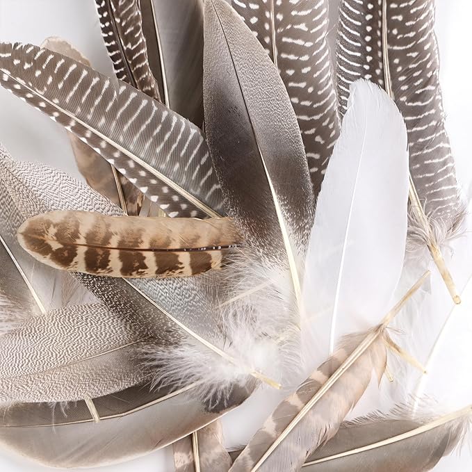 MAOFENG 20pcs Natural Pheasant Feathers Bulk 5 Styles Mixed Feathers Spotted - Image 4